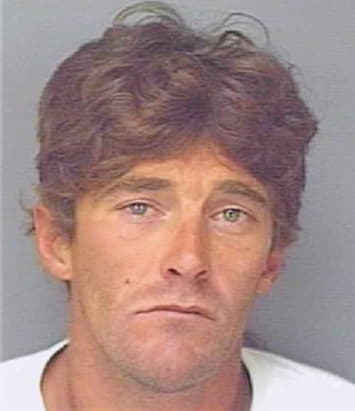 Amerson David - Polk County, FL 