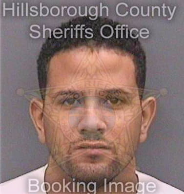 Sailomanpedroso Roberto - Hillsborough County, FL 