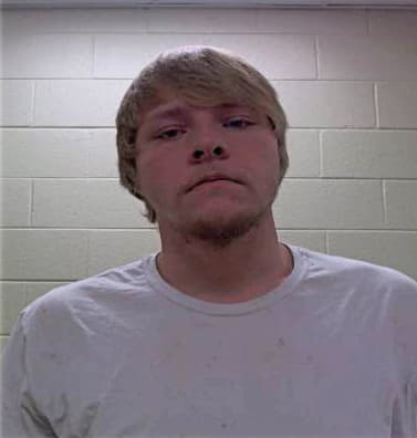Stuebinger Travis - Pickens County, GA 