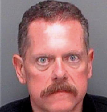 Schultz Victor - Pinellas County, FL 