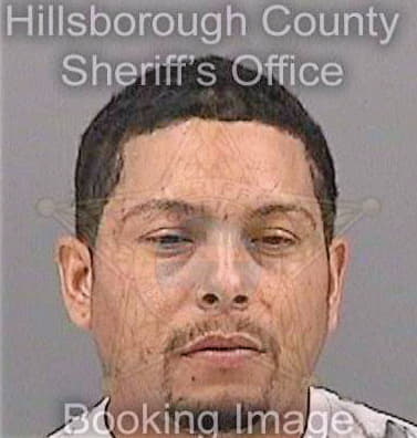 Lugo-Felix Jason - Hillsborough County, FL 