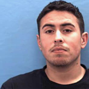 Torres Michael - Guadalupe County, TX 