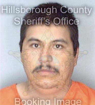 Duranzamora Miguel - Hillsborough County, FL 