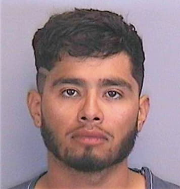 Gomez-Sanchez Addiel - Manatee County, FL 