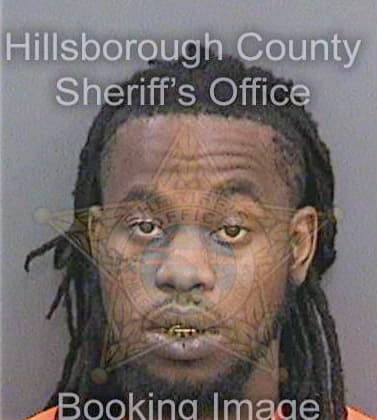 Mcneal Deandre - Hillsborough County, FL 