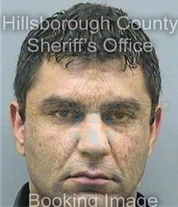 Dejesus Enrique - Hillsborough County, FL 
