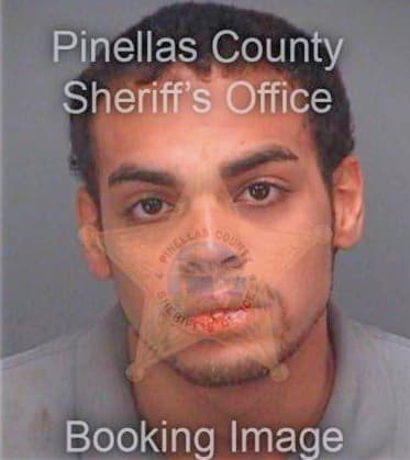 Bennett Sean - Pinellas County, FL 