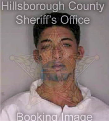Loaiza William - Hillsborough County, FL 