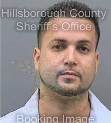 Rivera Giancarlo - Hillsborough County, FL 