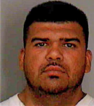 Morales Homero - Polk County, FL 