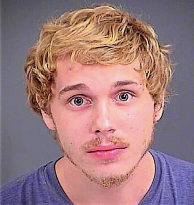 Harrison James - Charleston County, SC 