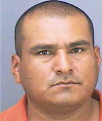 Cruz Luis - Collier County, FL 