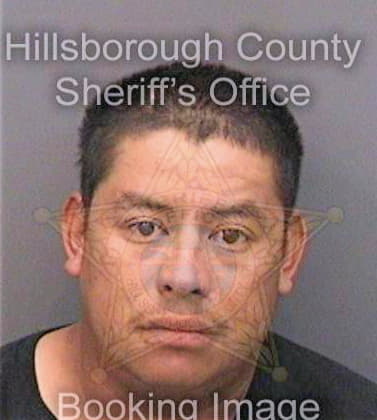 Gomezguzman Ruben - Hillsborough County, FL 