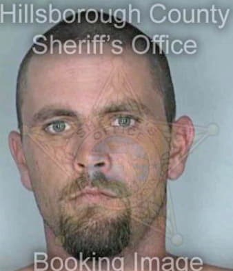 Wise David - Hillsborough County, FL 