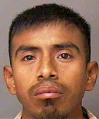 Hernandez-Guzman Sergio - Polk County, FL 
