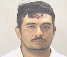 Reyes Alfredo - Dallas County, TX 