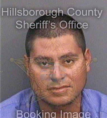 Resendizbuenrostro Jose - Hillsborough County, FL 