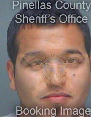 Reeves Joshua - Pinellas County, FL 