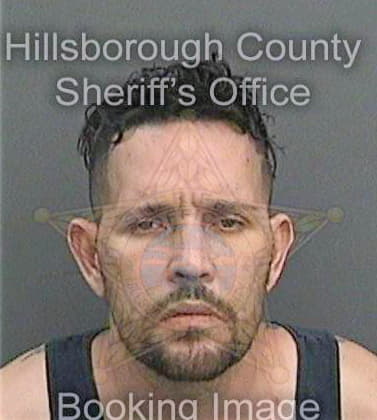 Jimenezalvarez Juan - Hillsborough County, FL 