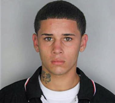 Ramirez Nicholas - Hillsborough County, FL 