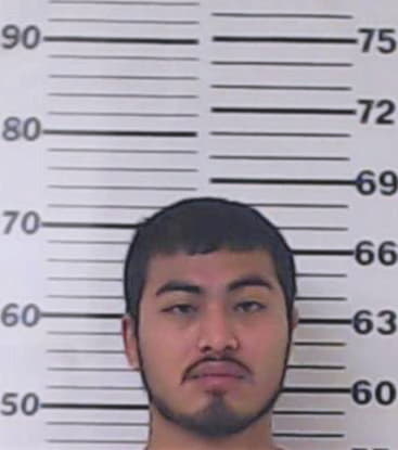 Lira Jason - Henderson County, TX 