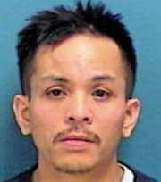 Ho Vinh - Stearns County, MN 