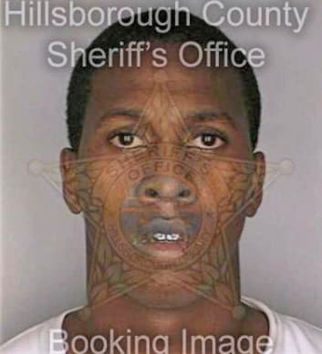 Fipps Ernest - Hillsborough County, FL 