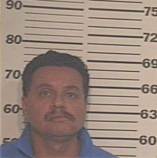 Hernandez Fransico - Hidalgo County, TX 