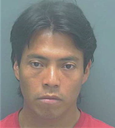 Mendez Jaime - Lee County, FL 