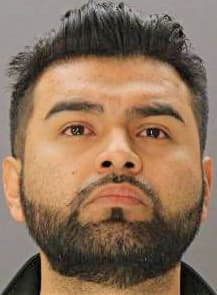 Mata Luis - Dallas County, TX 