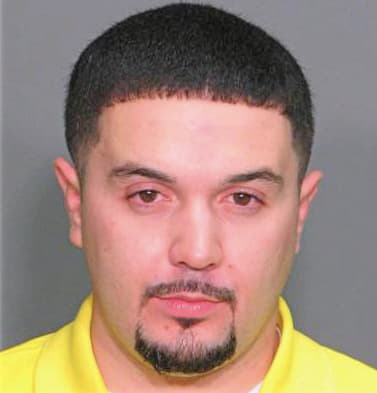 Henderson Mark - Wake County, NC 