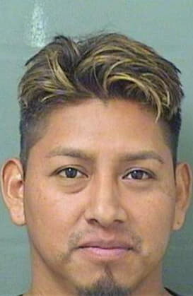 Andres Mateo - PalmBeach County, FL 