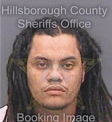 Cespedes Carlos - Hillsborough County, FL 