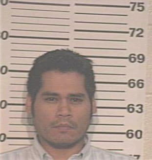 Licon Daniel - Hidalgo County, TX 