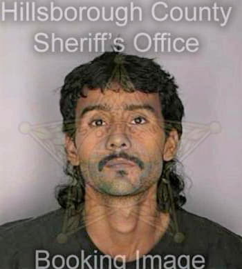 Pecina Francisco - Hillsborough County, FL 