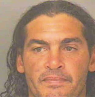Collazo Henry - Polk County, FL 