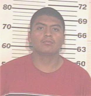 Hernandez Israel - Hidalgo County, TX 