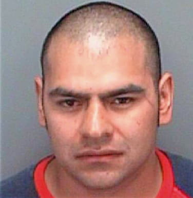 Gasca Luis - Pinellas County, FL 