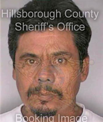 Limon Manuel - Hillsborough County, FL 