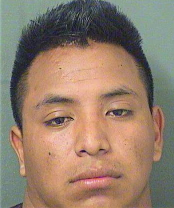 Franciscomiguel Jose - PalmBeach County, FL 