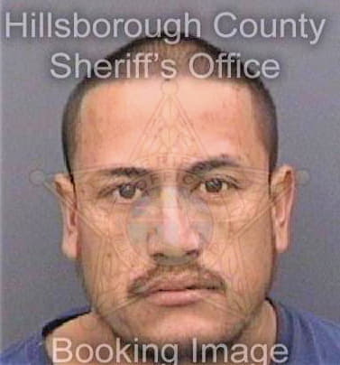 Longoria Liberato - Hillsborough County, FL 