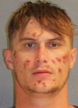Reisz Matthew - Volusia County, FL 