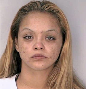 Garcia Tracey - Hillsborough County, FL 