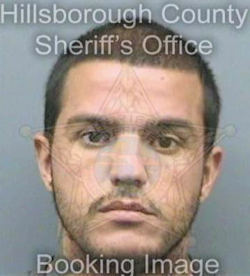 Gonzalezlopez Emilio - Hillsborough County, FL 