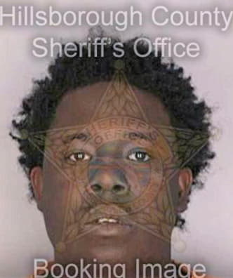 Hall Patrick - Hillsborough County, FL 