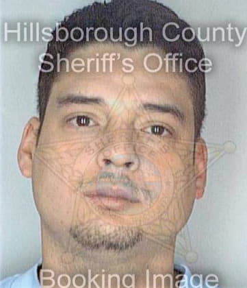 Ferran Stephen - Hillsborough County, FL 