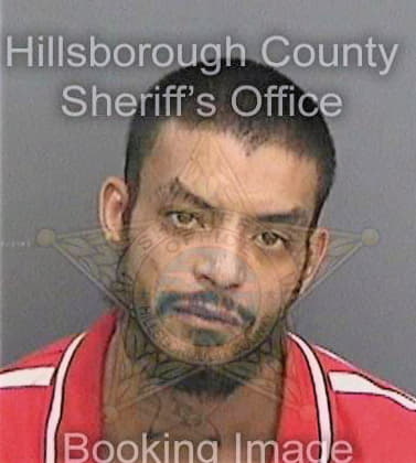 Riosmulero Anibal - Hillsborough County, FL 
