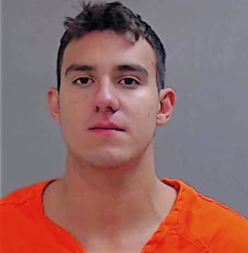 Palomino Brandon - Hidalgo County, TX 