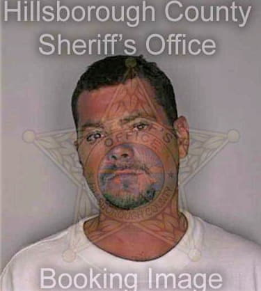 King Paul - Hillsborough County, FL 