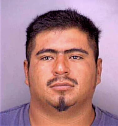 Ramos Santos - Collier County, FL 
